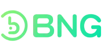 BNG Game Developer